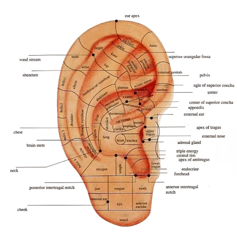 Ear Detection Pen, Auricular Points Detector Automatic Ear Detection Pen, Warning Sound Acupressure Device for Personal Health Care Supplies - Image 6